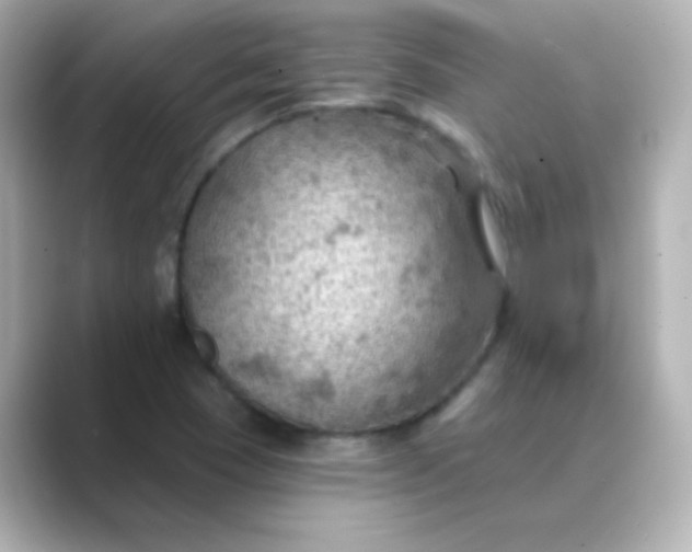 X0000088831409200706211806