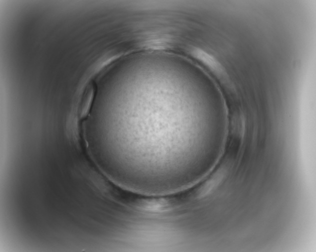 X0000088831410200706211806