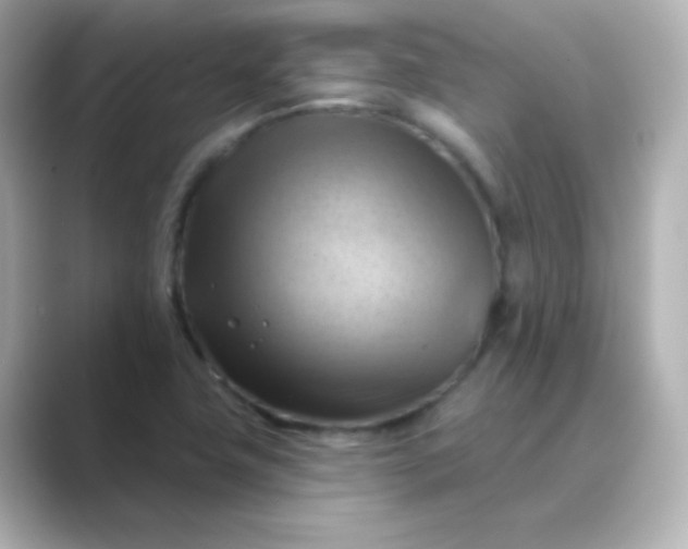 X0000088831411200706211806