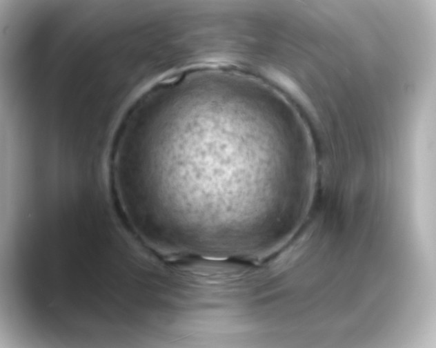 X0000088831412200706211806