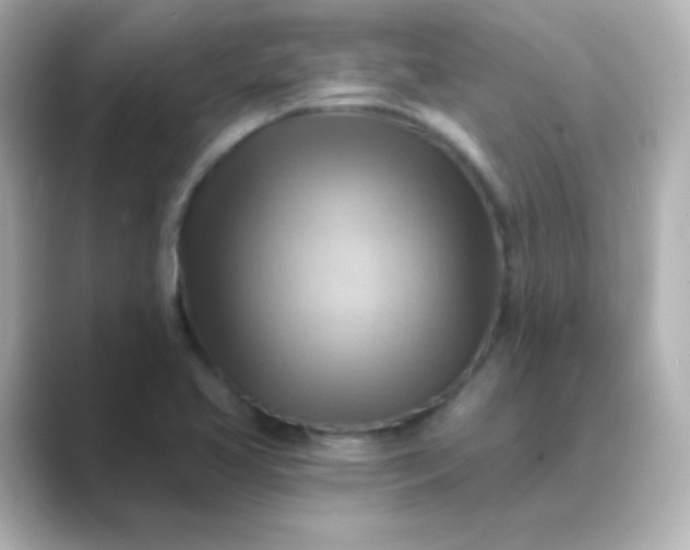 X0000088831413200706211806