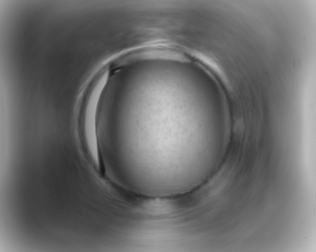 X0000088831414200706211806