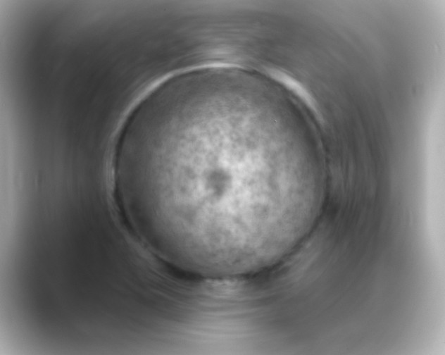 X0000088831415200706211806