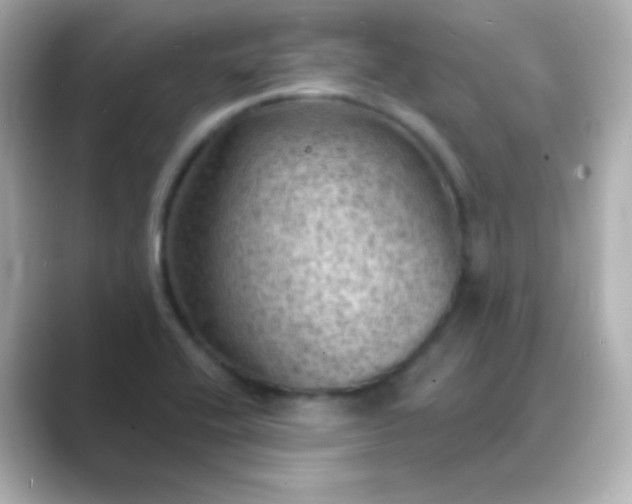 X0000088831416200706211806