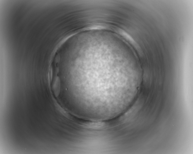 X0000088831417200706211806