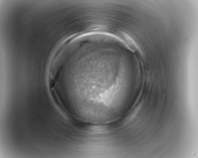 X0000088831418200706211807