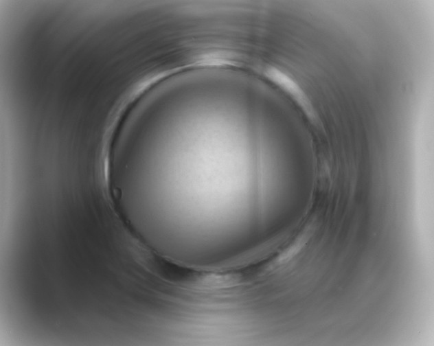 X0000088831419200706211807