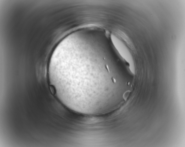 X0000088831420200706211807