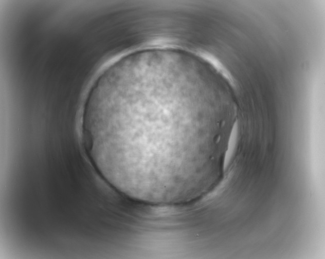 X0000088831421200706211807