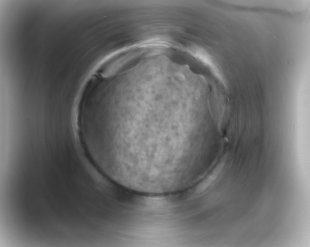 X0000088831422200706211807