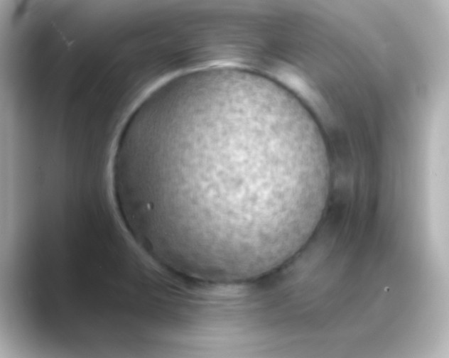 X0000088831423200706211807