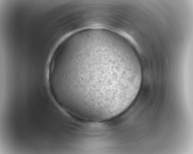 X0000088831424200706211807