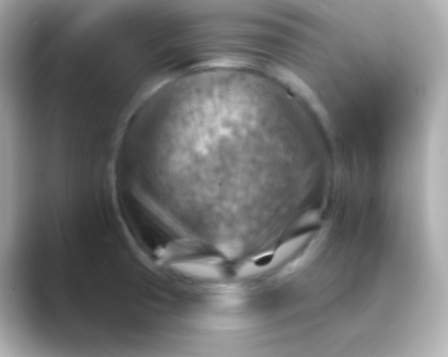 X0000088831425200706211807