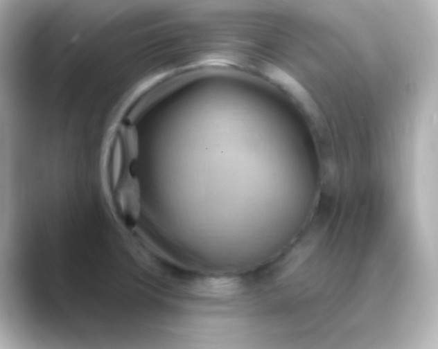 X0000088831427200706211807