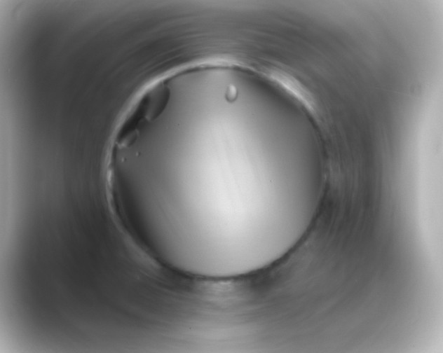 X0000088831428200706211807