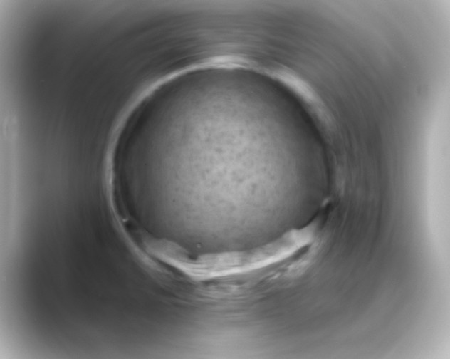 X0000088831430200706211807