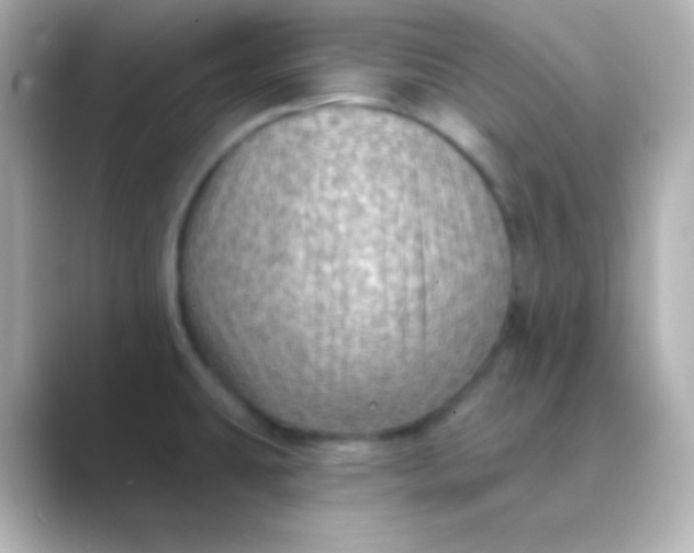 X0000088831431200706211807