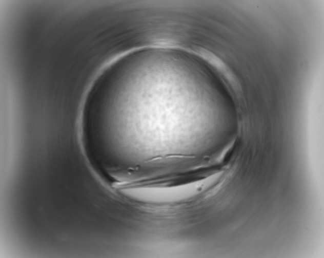 X0000088831432200706211807