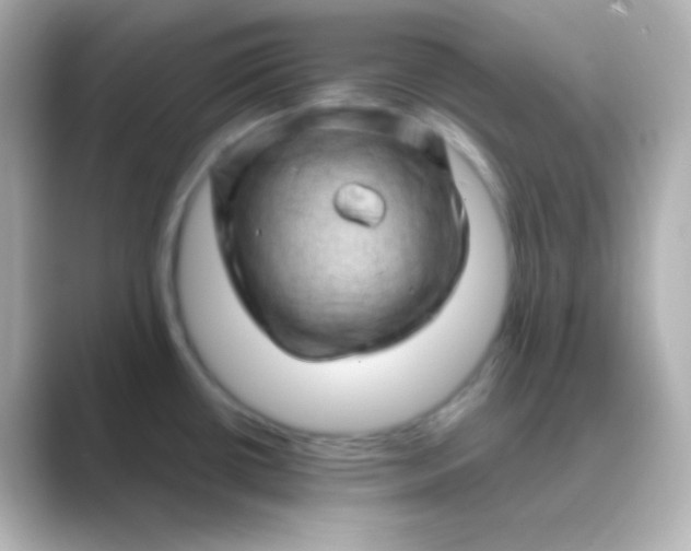 X0000088831434200706211807