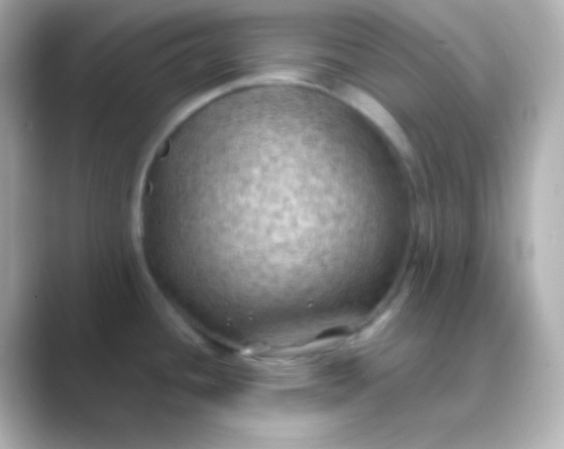 X0000088831436200706211807