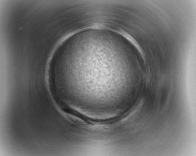 X0000088831437200706211807