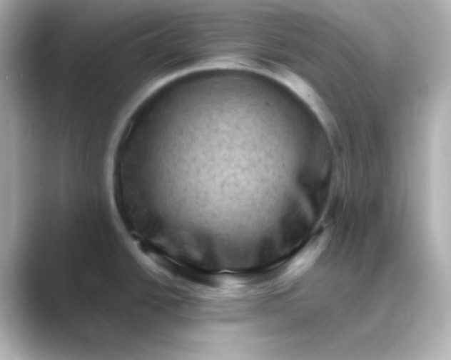 X0000088831438200706211807