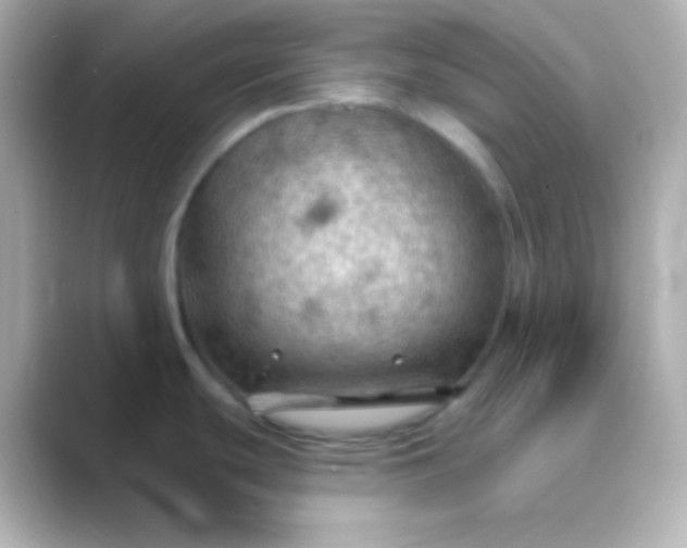 X0000088831439200706211807