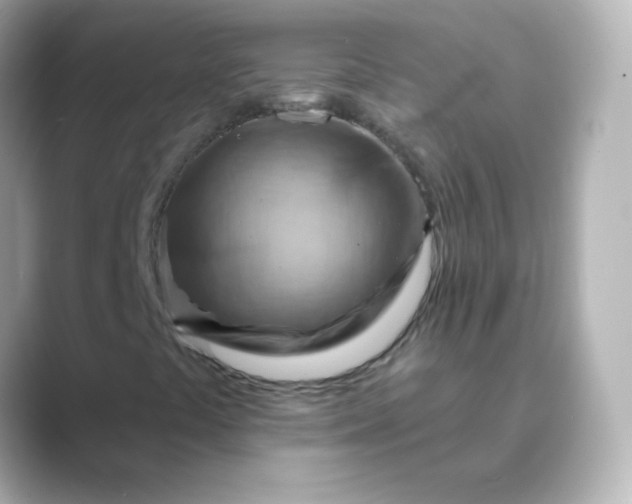 X0000088831441200706211806