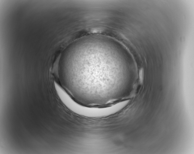 X0000088831443200706211806