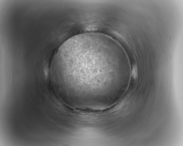 X0000088831444200706211806