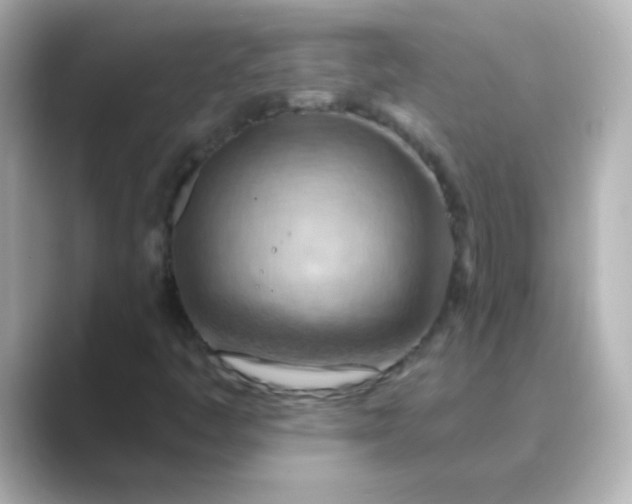 X0000088831445200706211806