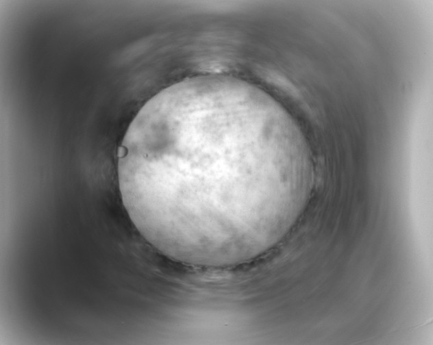 X0000088831446200706211806