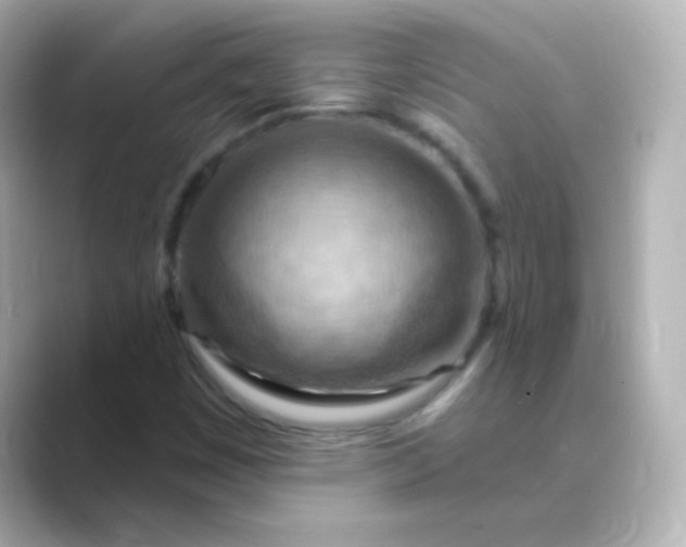 X0000088831449200706211806