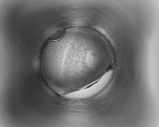 X0000088831450200706211806