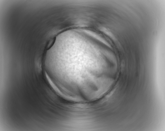 X0000088831451200706211806