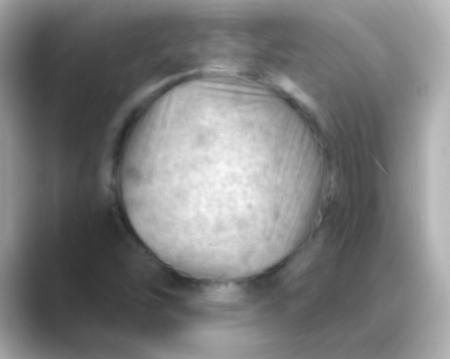 X0000088831454200706211806