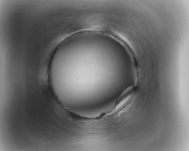 X0000088831455200706211806