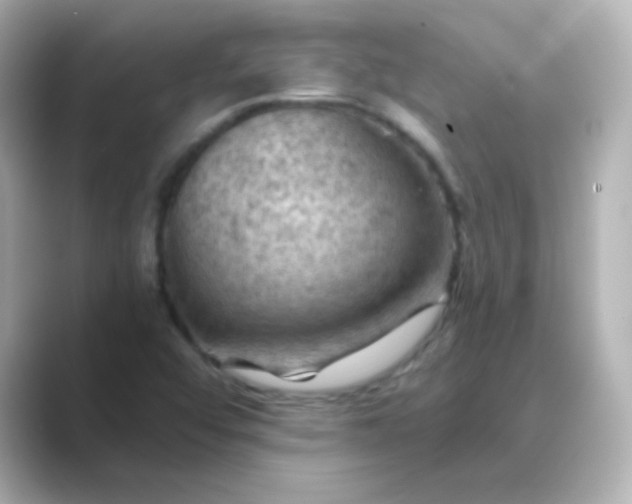 X0000088831456200706211806