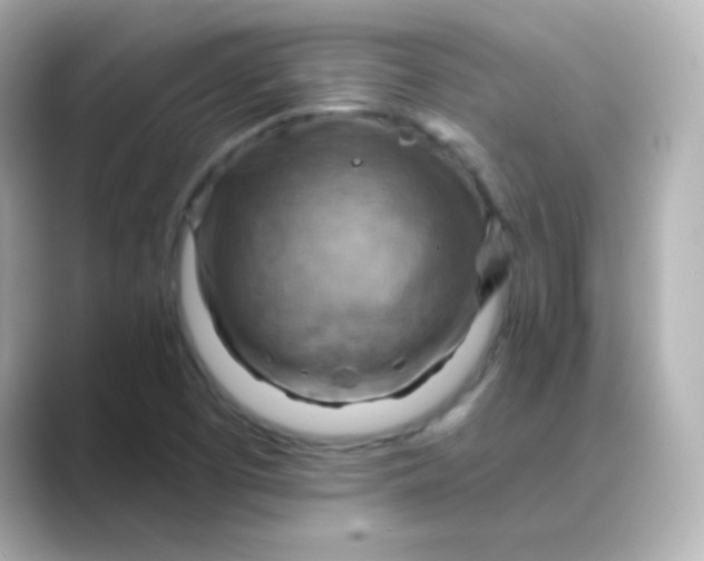 X0000088831457200706211806