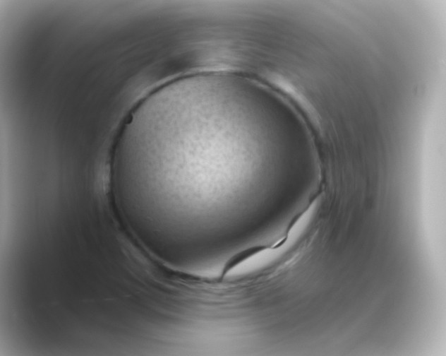 X0000088831459200706211806