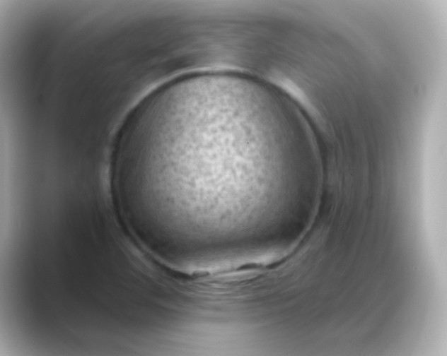 X0000088831460200706211806