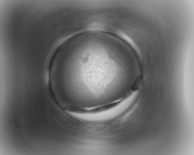 X0000088831461200706211806