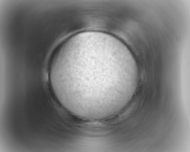 X0000088831462200706211806