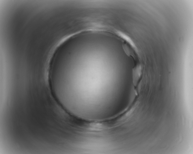 X0000088831463200706211806