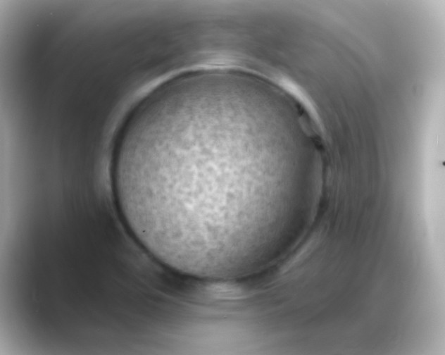 X0000088831464200706211806