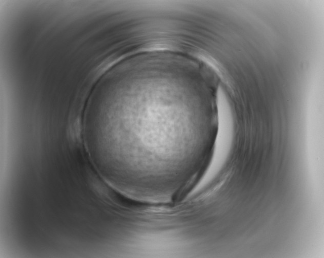 X0000088831465200706211806