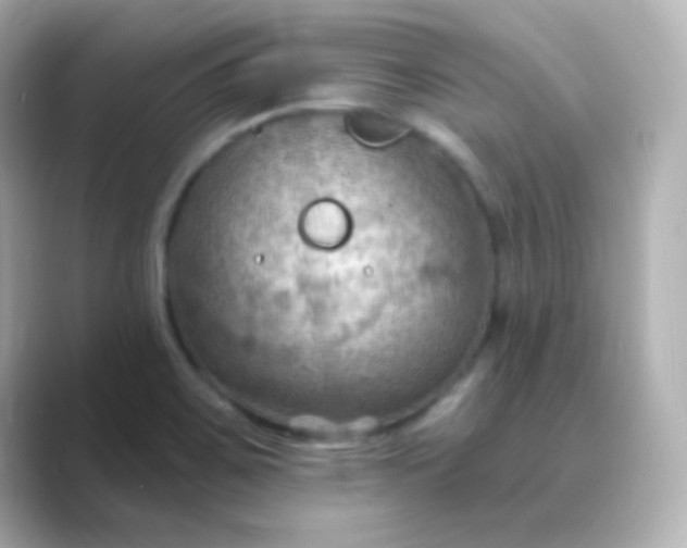 X0000088831467200706211806