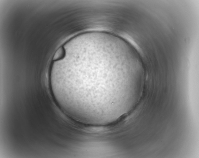 X0000088831468200706211806