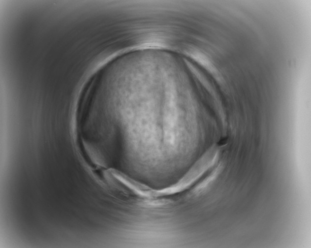 X0000088831469200706211806