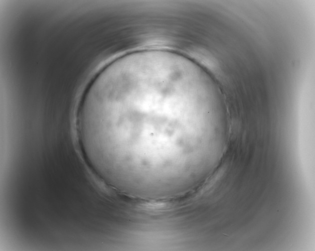 X0000088831470200706211806